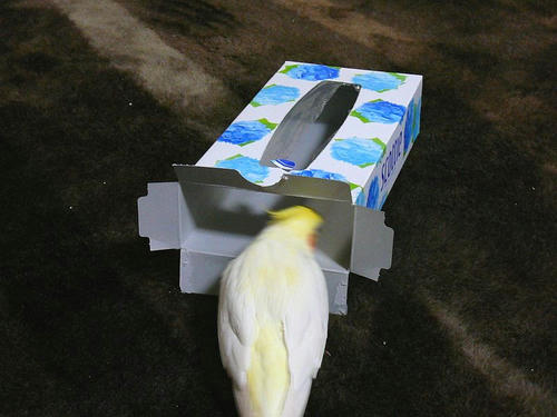 080324-90.jpg