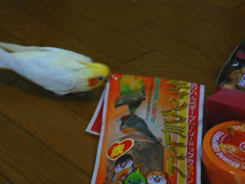 080324-70.jpg