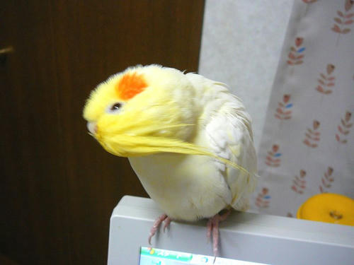 080401-80.jpg