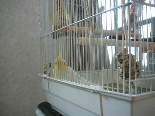 080403-60.jpg