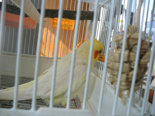 080403-50.jpg
