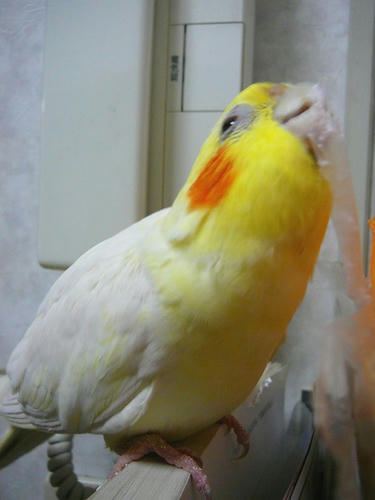 080404-20.jpg