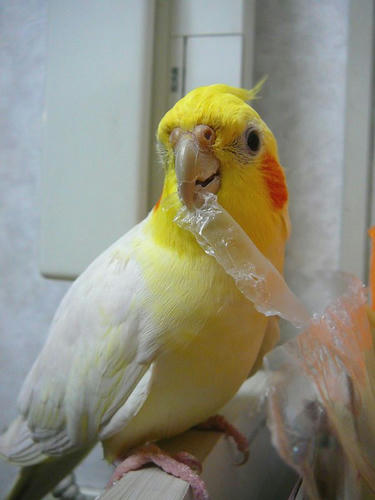 080404-10.jpg