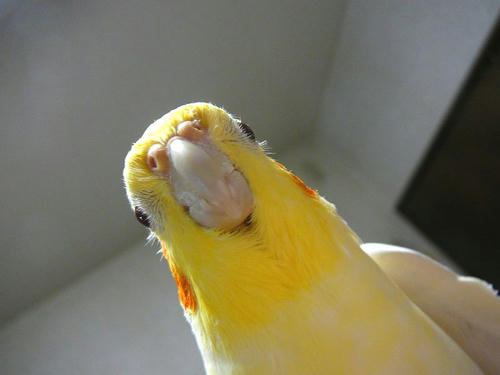 080406-80.jpg