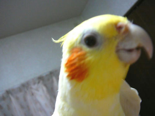 080407-90.jpg