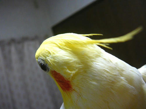 080407-80.jpg