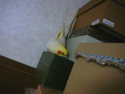 080407-70.jpg