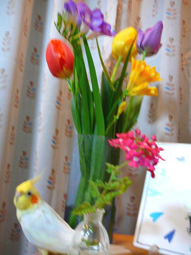 080414-90.jpg