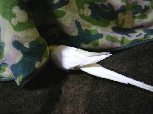 080415-80.jpg