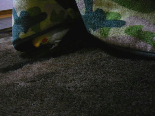 080415-70.jpg