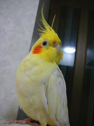 080417-90.jpg
