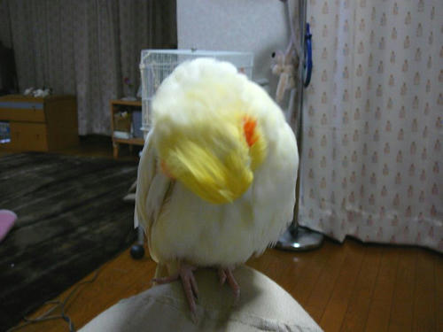 080418-80.jpg