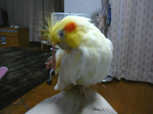 080418-50.jpg