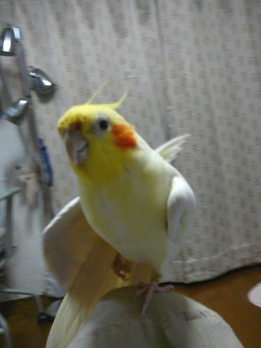 080418-30.jpg