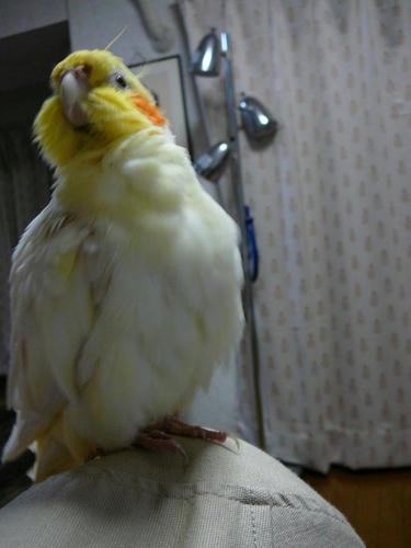 080421-90.jpg