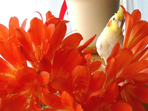 080425-90.jpg