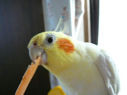 080504-90.jpg