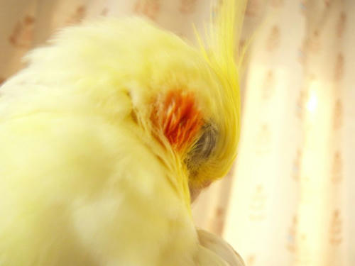 080505-80.jpg