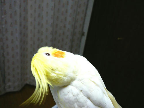 080510-90.jpg