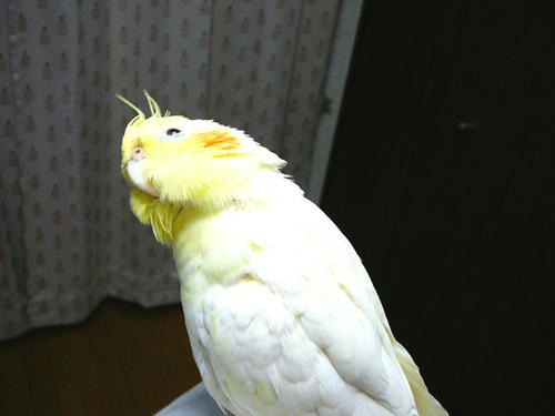 080510-80.jpg