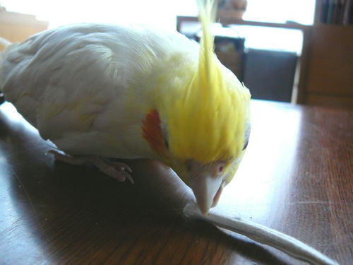 080526-80.jpg