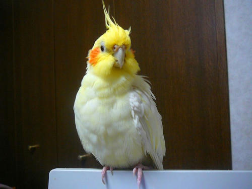 080527-90.jpg