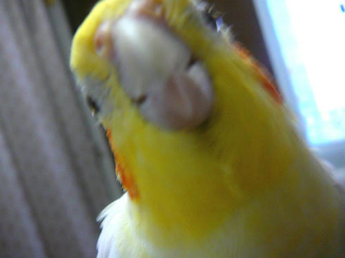 080602-90.jpg