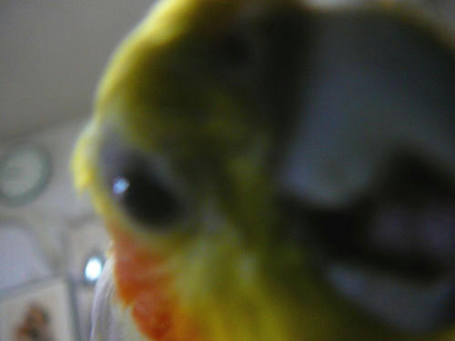 080602-80.jpg