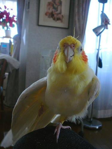 080605-90.jpg