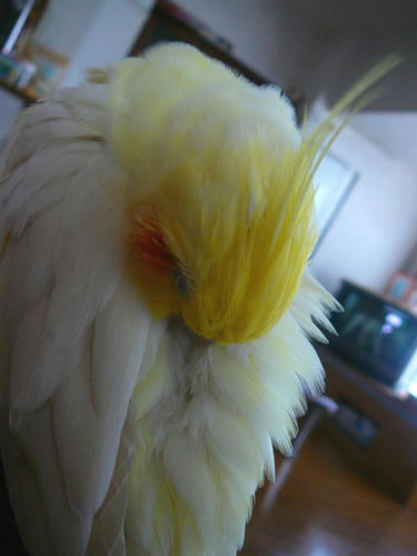 080605-60.jpg