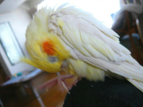 080605-40.jpg