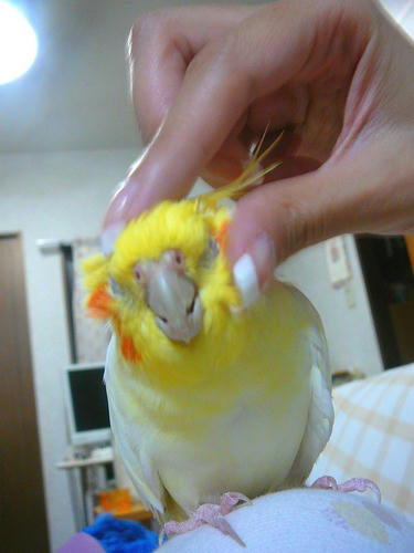 080626-90.jpg