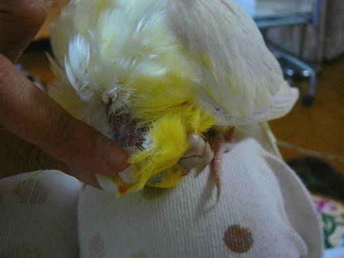 080626-70.jpg
