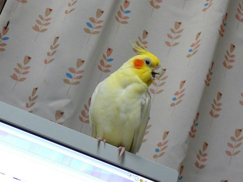 080703-80.jpg
