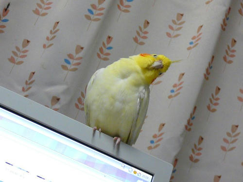 080707-90.jpg