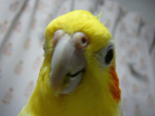 080707-80.jpg