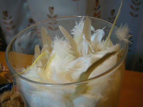 080713-80.jpg
