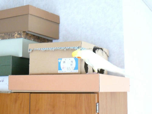 080722-90.JPG
