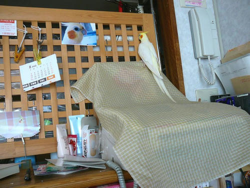 080805-90.jpg