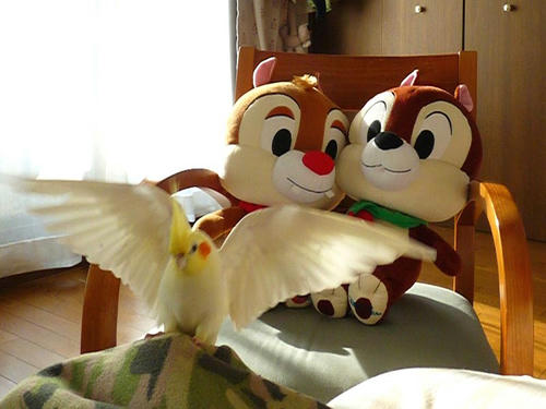 081226-80.jpg