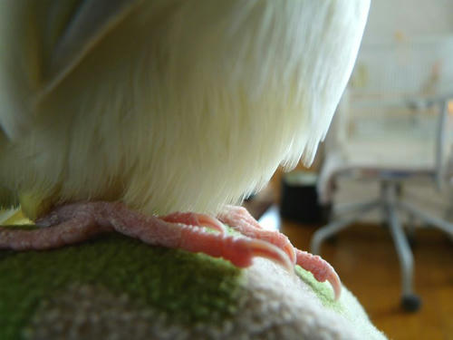 090111-90.JPG