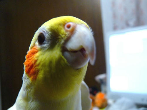 090112-90.JPG
