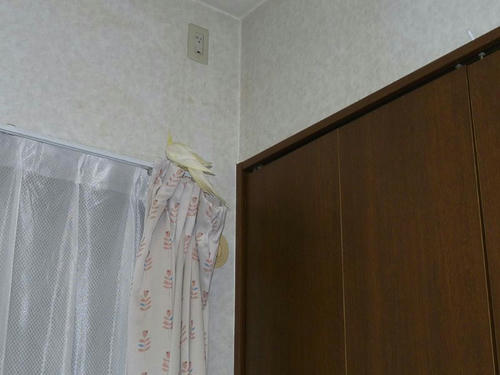 090124-90.JPG