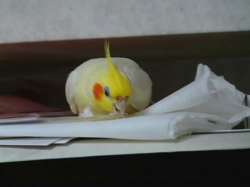 090304-60.jpg