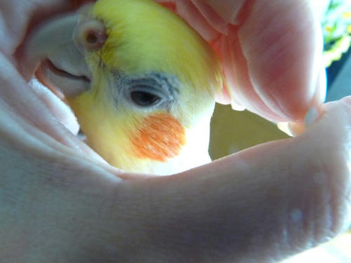 090329-90.JPG