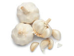 garlic2.jpg