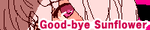 banner02.png