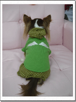 photo6.gif