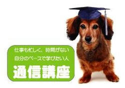 sozaiburogu.JPG