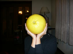 P1000100.JPG